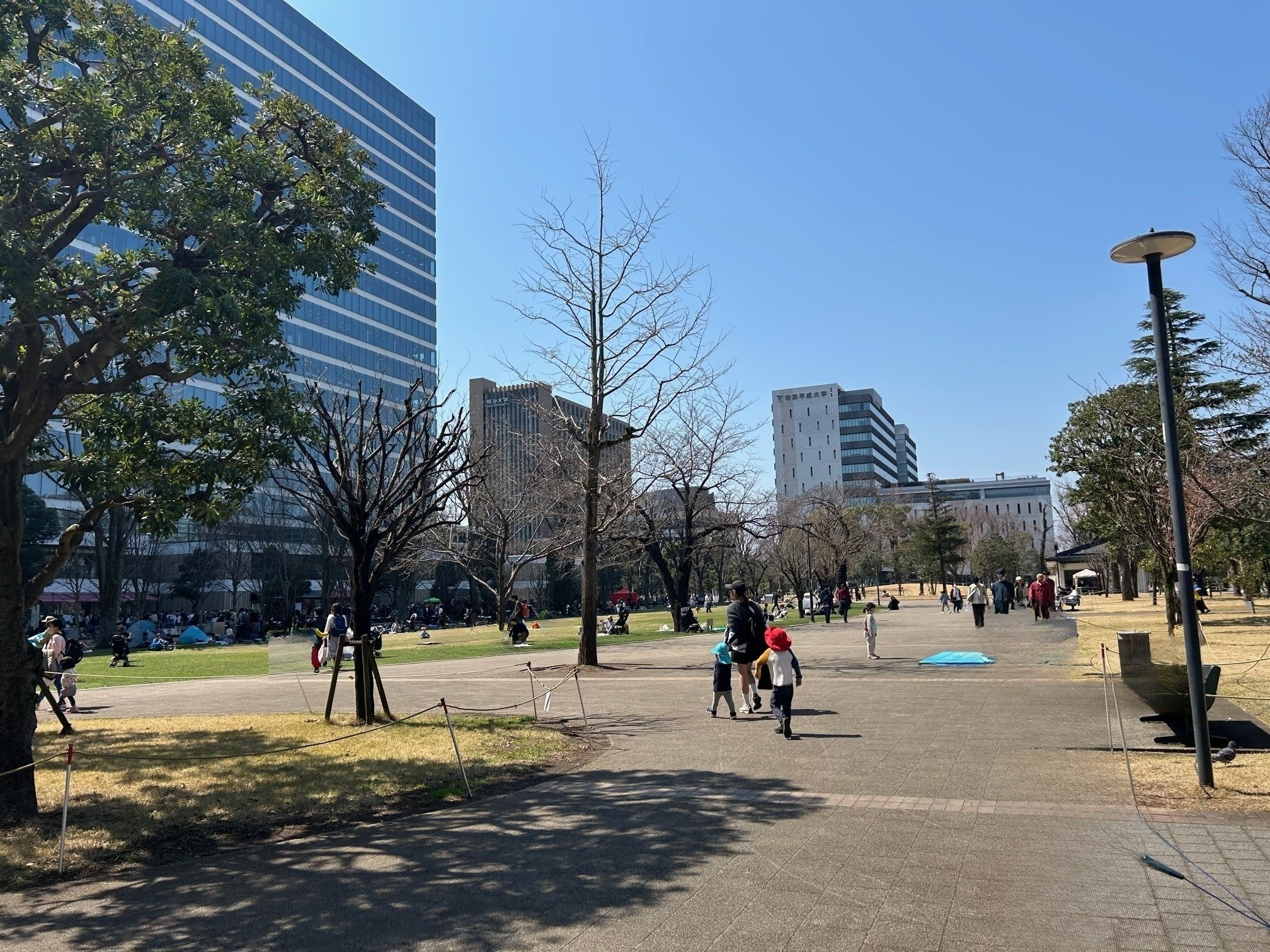 中野四季の森公園_芝生エリア