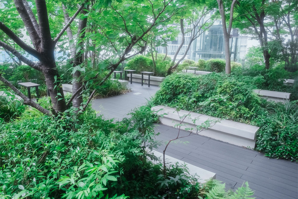 京橋の丘-2